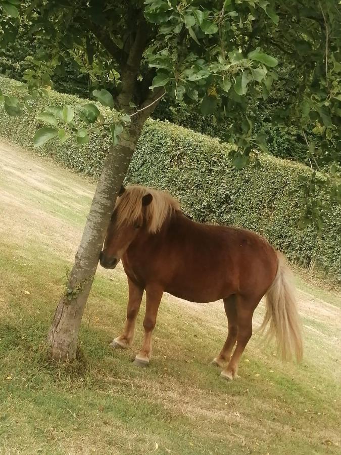 Le Pressoir De Gisay